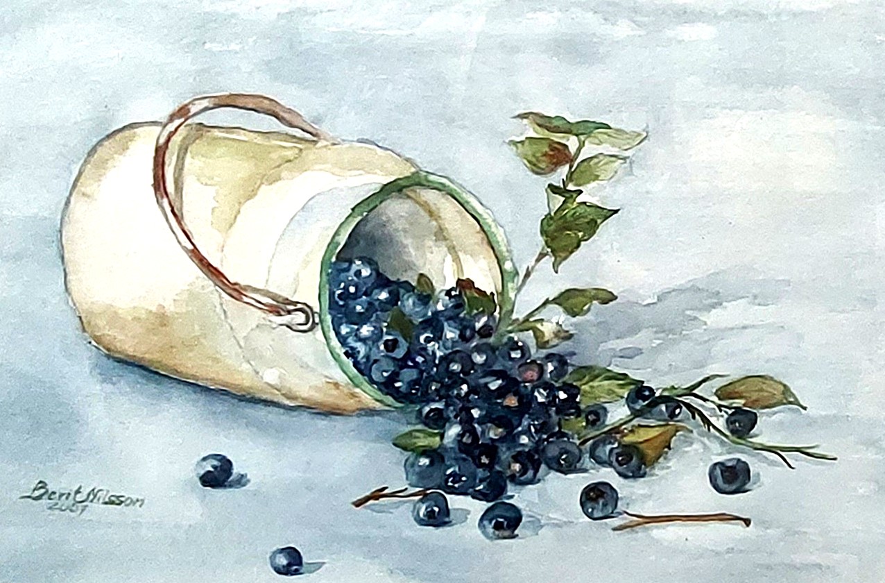 akvarellimaalaus mustikoista